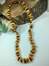 Load image into Gallery viewer, Multi Colored Baltic Amber Necklace